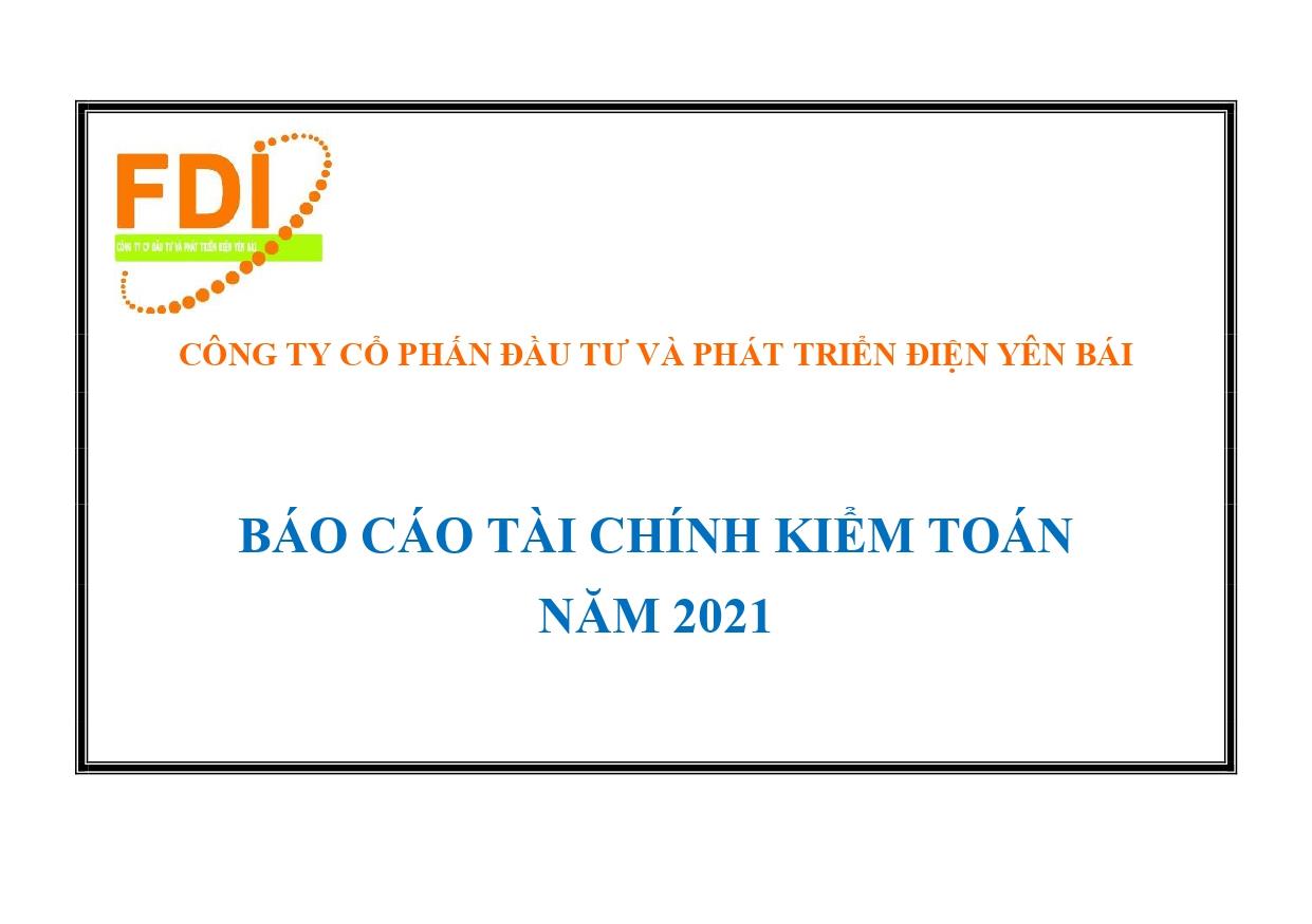 Báo cáo kiểm toán 2021 FDI